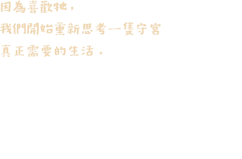 Mi & Geckos 品牌故事