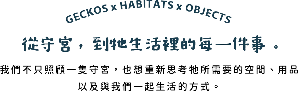 從守宮，到牠生活裡的每一件事。